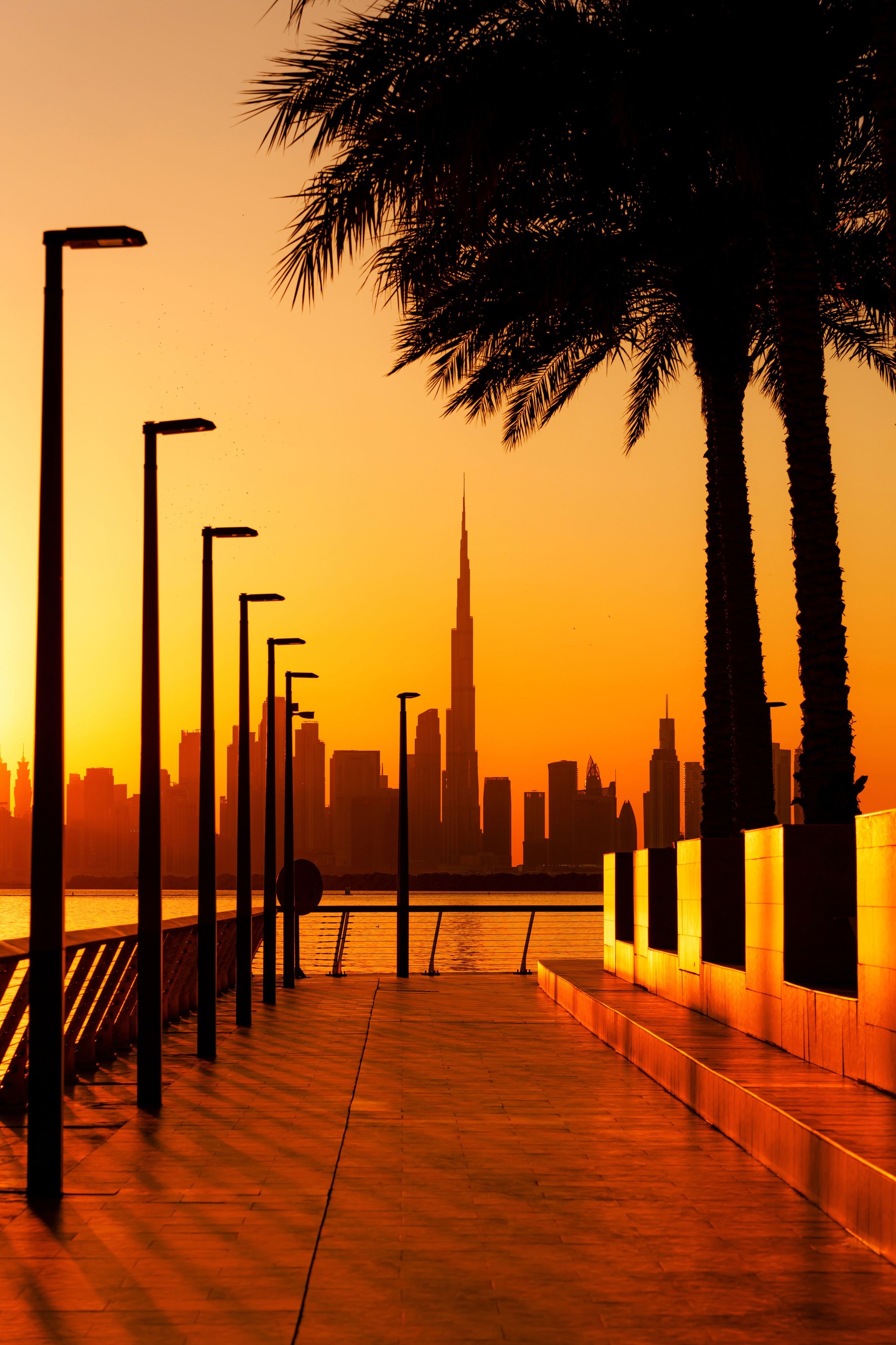 Dubai Skyline Silhouette at Sunset With Palm Trees and Streetlights